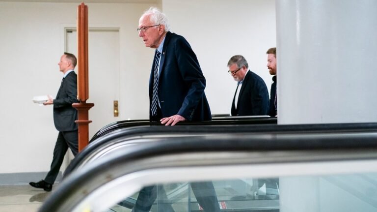 Sanders dismisses Rahm Emanuel's warning that 'Bernie Bros' could 'spoil' Democrats in the midterms