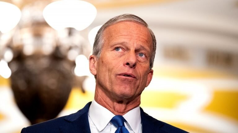 Thune on Trump’s Canada tariffs: ‘I’m not a huge fan of tariffs’