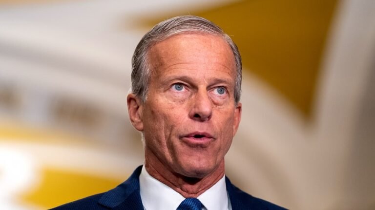 Thune says he won't endorse 'at the moment' in South Carolina Senate race