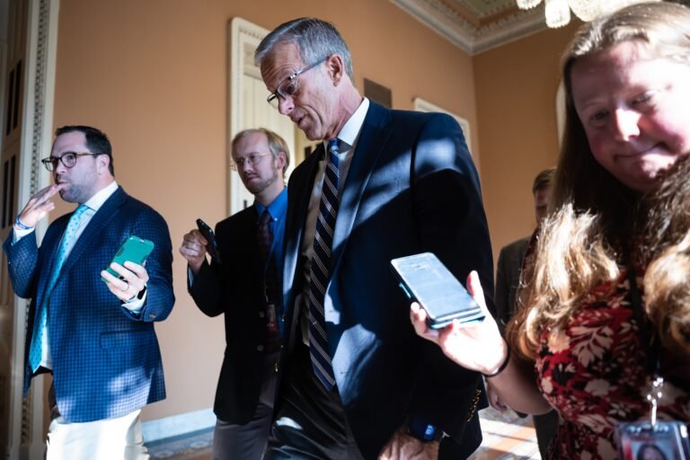 Thune tries to fend off Trump’s war on the Senate recess