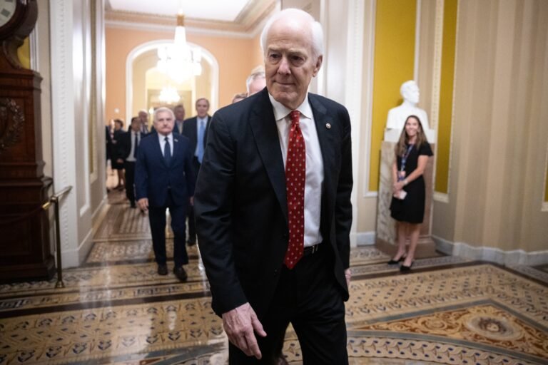 Blanche nomination hangs by a thread as Cornyn stands by settlement ultimatum