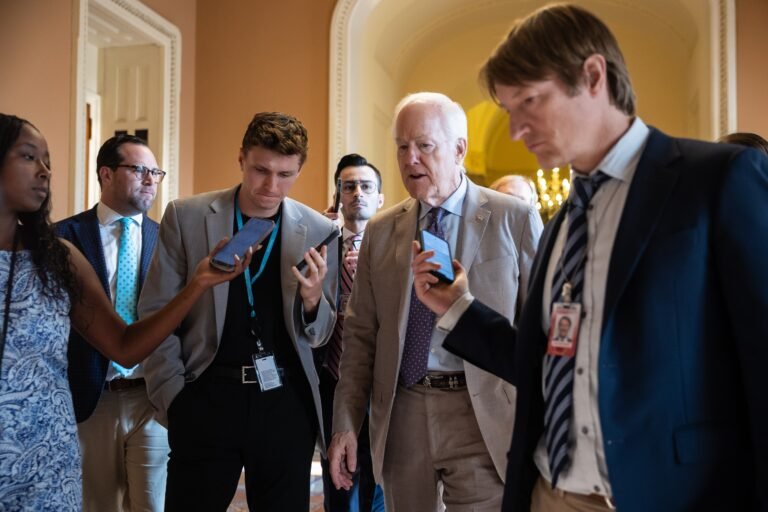 Blanche vote could be postponed, Cornyn says