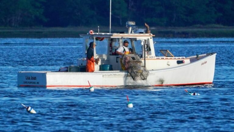 Maine Lobstermen's Association fear becoming 'collateral damage' in Canada tariff war