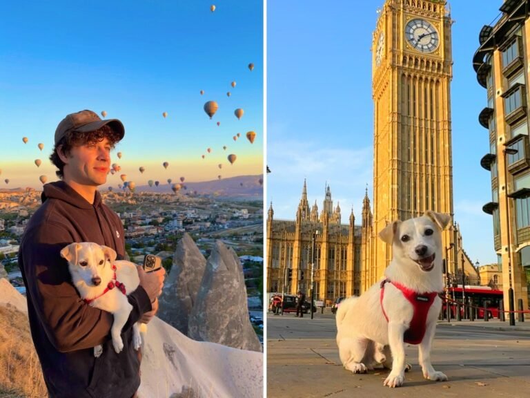 My dog and I have traveled to over 45 countries together. It's not as difficult as you'd expect.