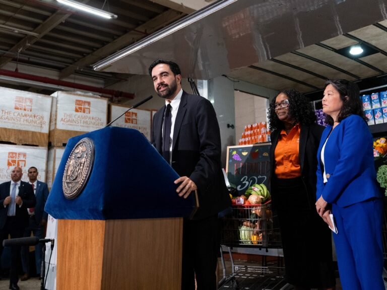 NYC businesses sue Mamdani over city-run grocery store plan, citing 'unfair competition'