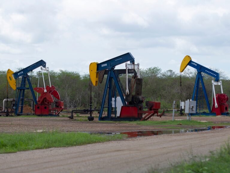 Trump said the US government has reached a deal to secure 65 billion barrels of oil reserves in Venezuela