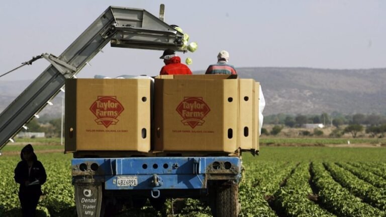 Are the Taylor Farms recalls connected?