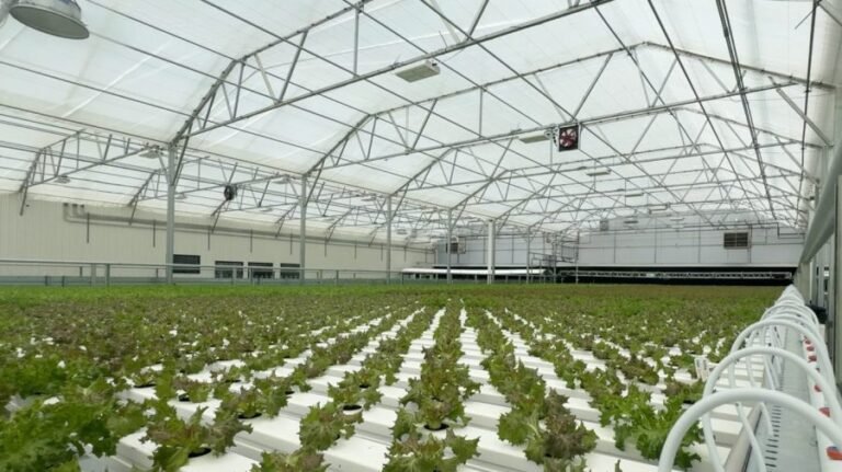 2 cyclospora deaths reported in Michigan
