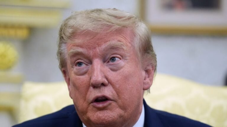 Trump tells voters ahead of midterms: 'Pretend I'm on the ballot'