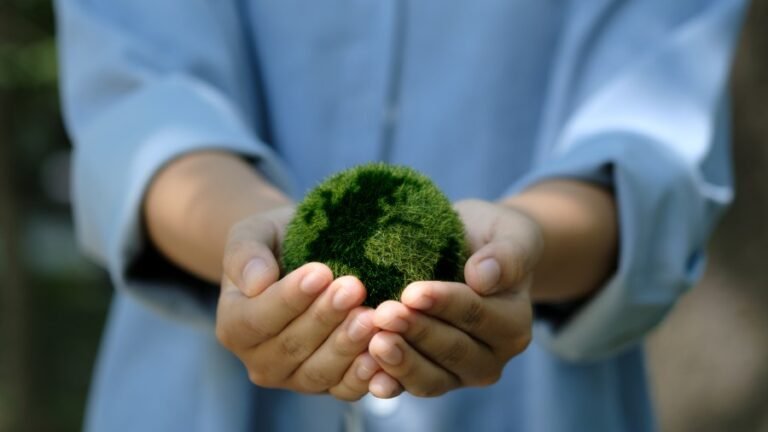 The democratic approach to confronting climate change 