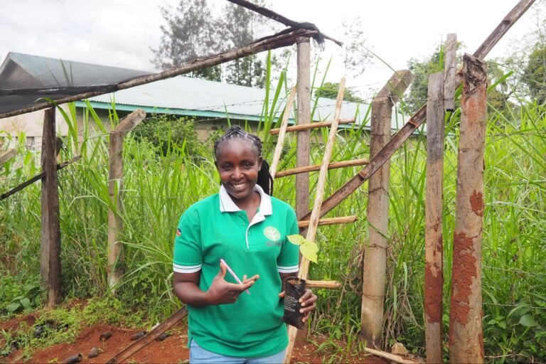 From deforestation to regeneration: Meet the team planting millions of trees in Kenya