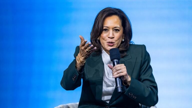 Democrats on campaign trail divided by Kamala Harris