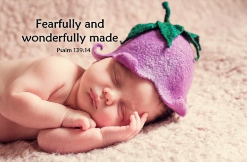 Fearfully and Wonderfully Made – Psalm 139:13-14