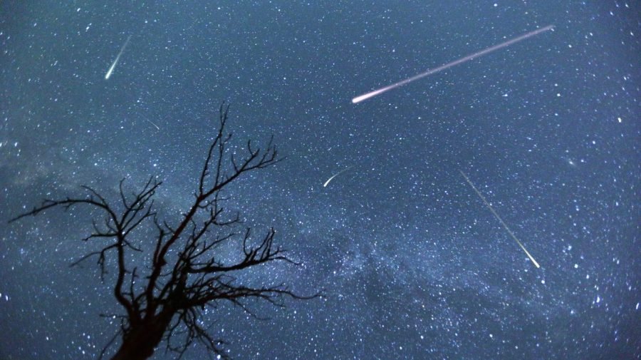 Perseid meteor shower: When is the best time to watch the summer light show?
