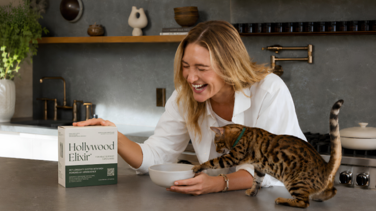 Invisible Aging In Cats