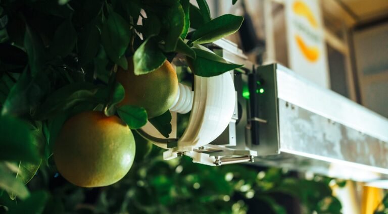 Inside Nanovel’s bid to crack robotic citrus harvesting