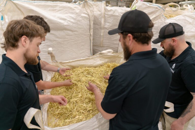 Exclusive: Plantd converts a construction waste problem into revenue with new biochar line