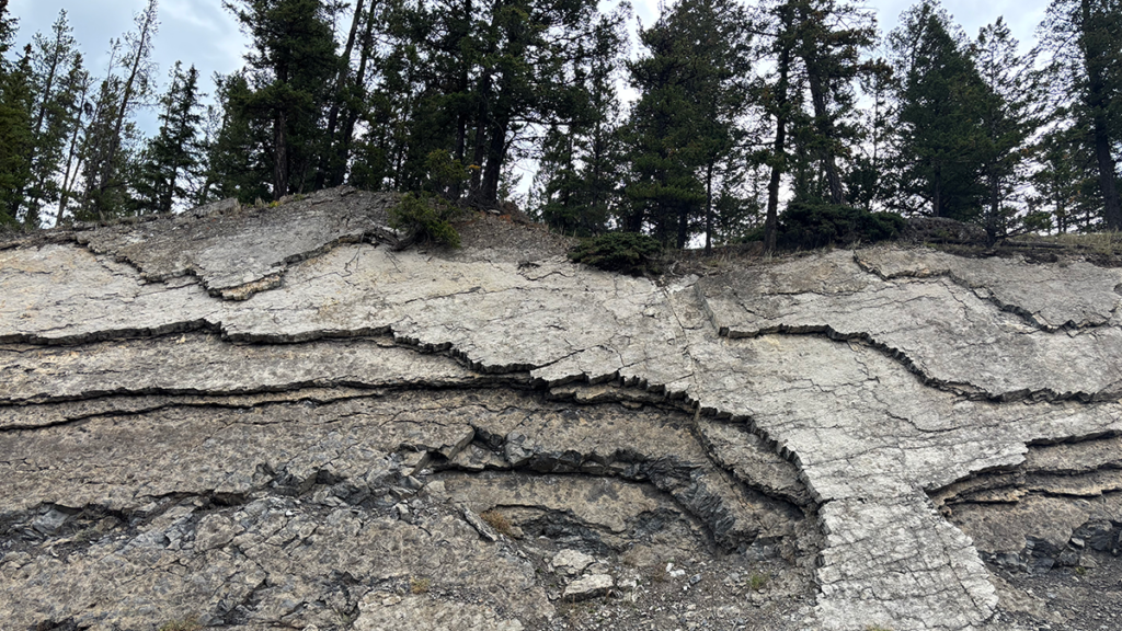 Decoding Rocks to Reveal What the Critical Zone Hides