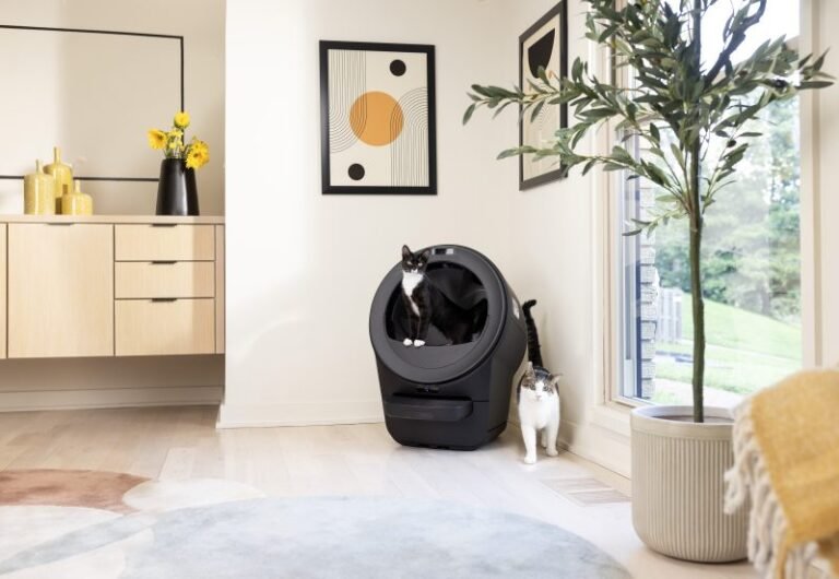 Automatic Litter Boxes Are Not a Luxury, They’re a Necessity