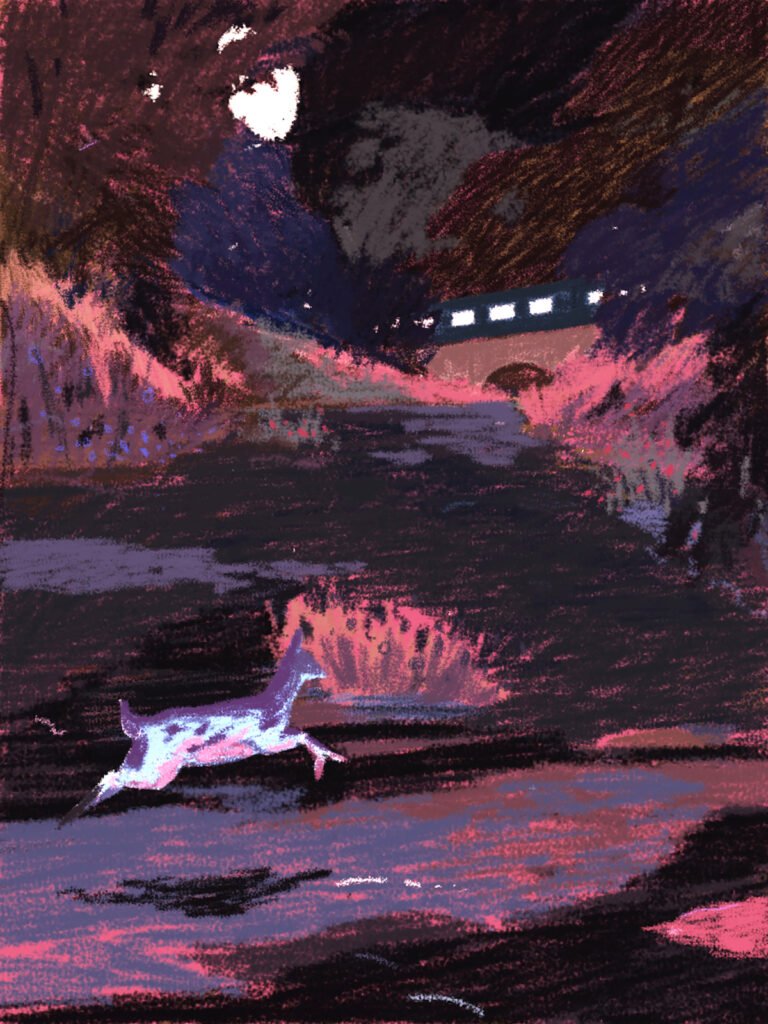 Illustrator Spotlight: Xiao Hua Yang