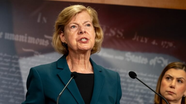 Baldwin: ‘No ICE at our polling places’