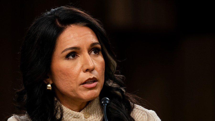 Gabbard shares emotional update on husband’s cancer months after White House exit