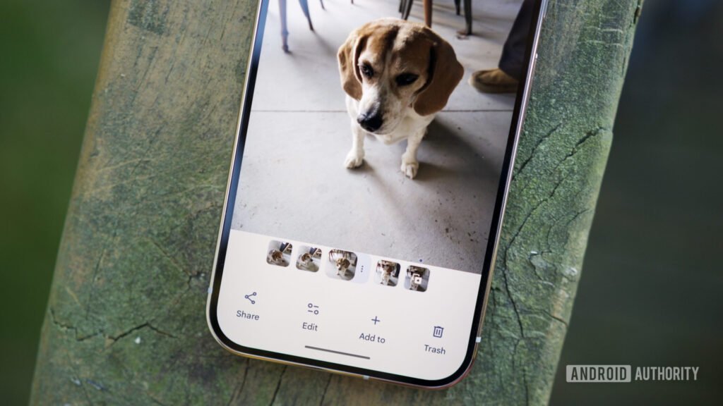 Google Photos users are overwhelmingly asking for better cleanup options
