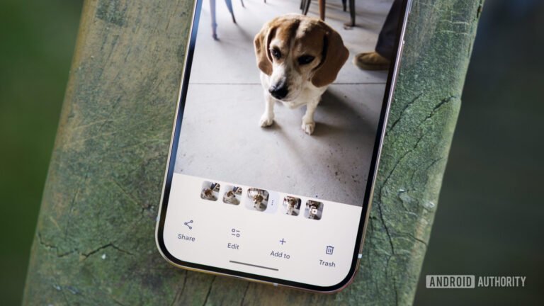 Google Photos users are overwhelmingly asking for better cleanup options