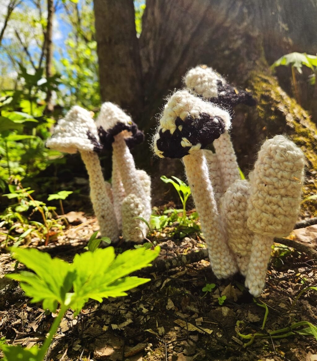 Lydia Hansen Introduces Hikers to Native Midwest Mushrooms on Crocheted ‘Fungi Hunts’
