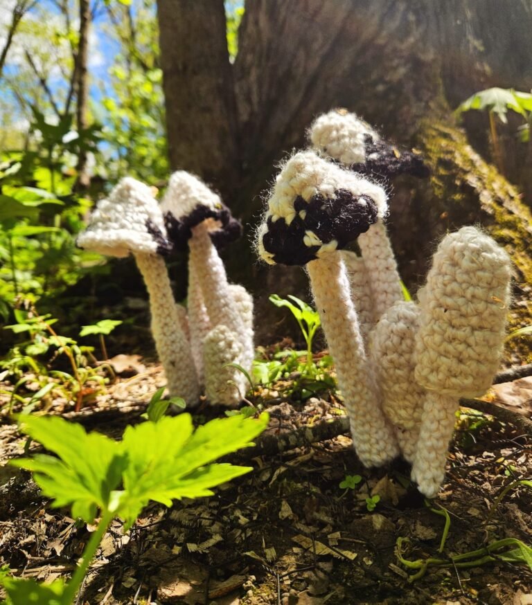 Lydia Hansen Introduces Hikers to Native Midwest Mushrooms on Crocheted ‘Fungi Hunts’