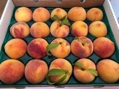 Are you a Peach Enthusiast?