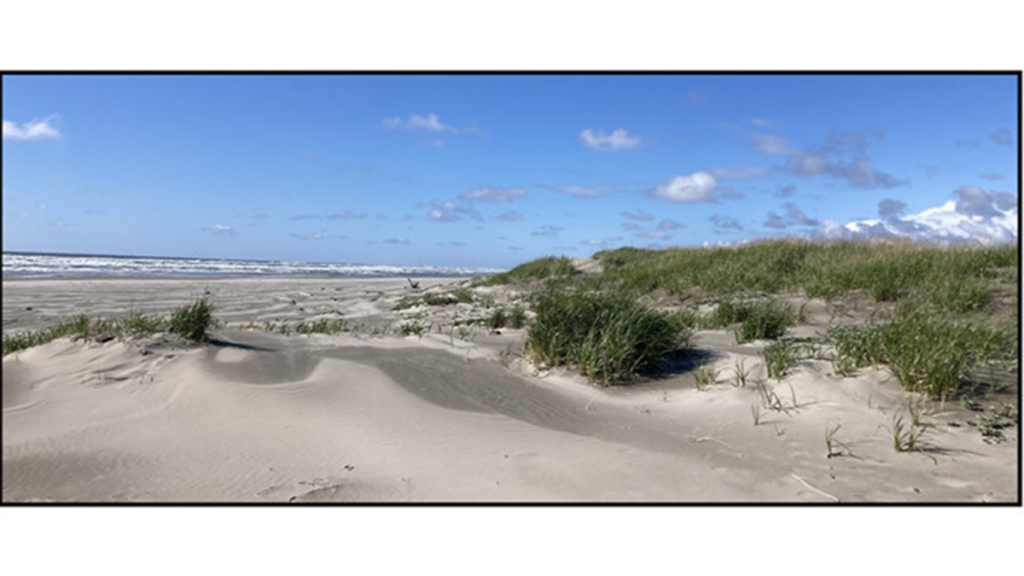 Long-Term Datasets are Essential to Understanding Coastal Change