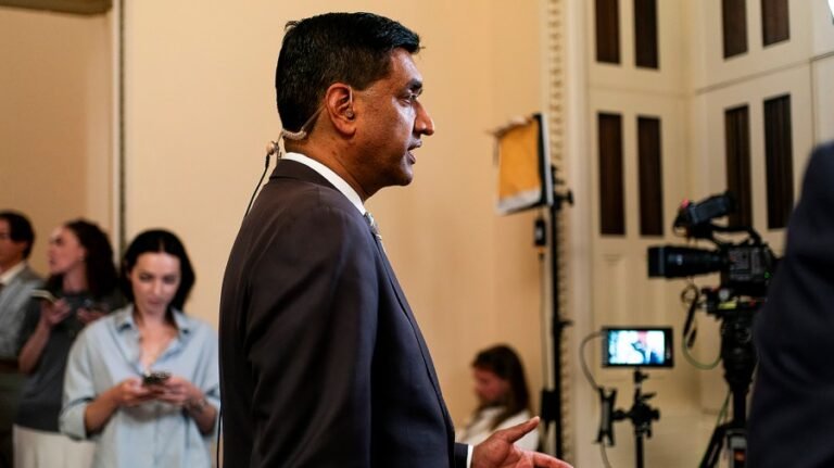 Khanna defends Hong endorsement after surprise loss in Wisconsin primary