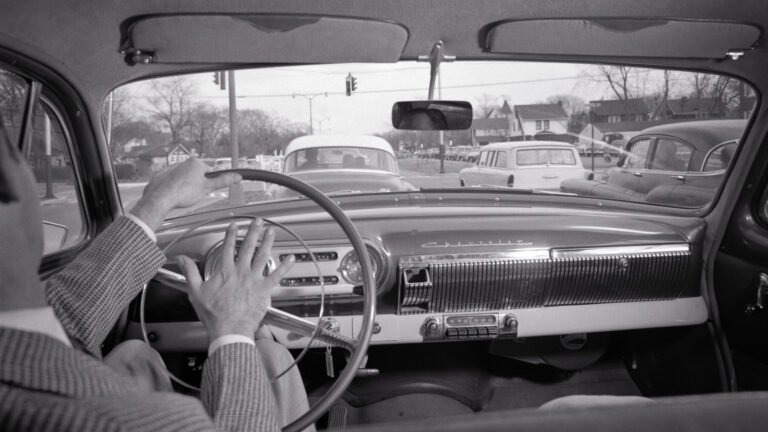 These Are Your Biggest Driving Pet Peeves
