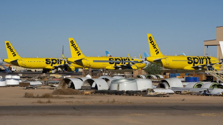 Google Bid $10 Million For Spirit Airlines' Corporate Data To Train AI