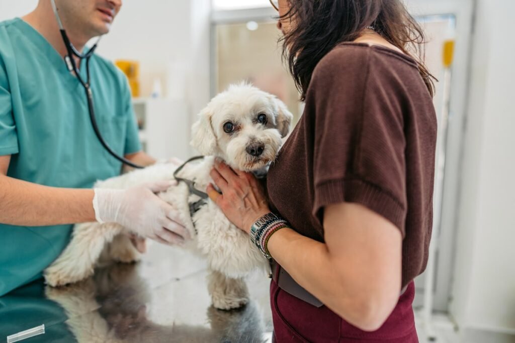Here’s How To Tell Your Pet Needs To Go To The Vet *Now*