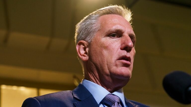 McCarthy 'worried' for GOP in midterms: 'What is the plan?'