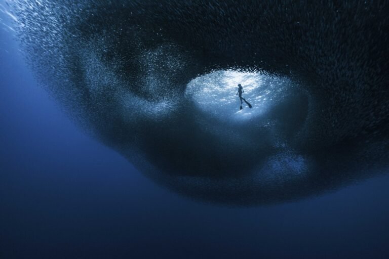 The Ocean Photographer of the Year Finalists Highlight the Sorrowful and Sublime