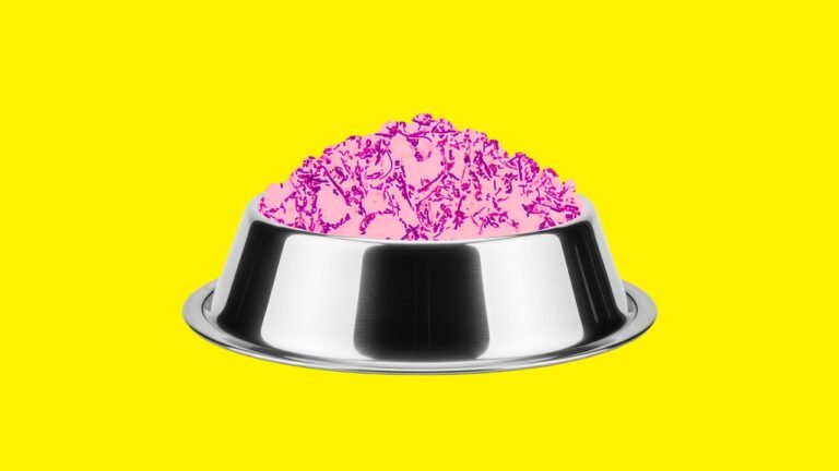 Popular pet food recalled after 3 dogs got sick in latest U.S. salmonella scare