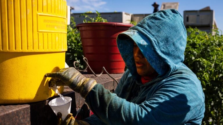Farmworkers across 22 states will get free access to electrolytes to combat dangerous heat stress