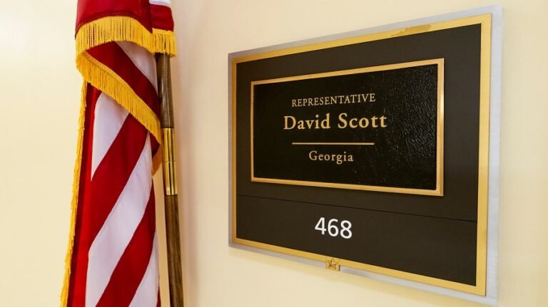 Live results: Georgia holds special election runoff for David Scott's House seat