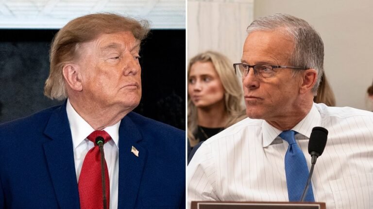 GOP senators rally behind Thune in response to Trump jabs at leader