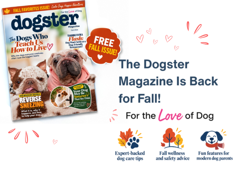 The Dogster Digital Magazine: Fall 2026 Issue