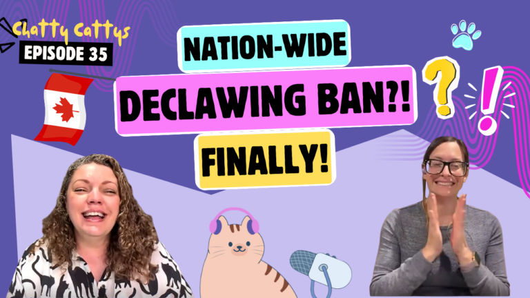 Chatting About Declawing Law Changes, Vegan Cats, and Pre-Internet Rumors | Chatty Cattys, Episode 35