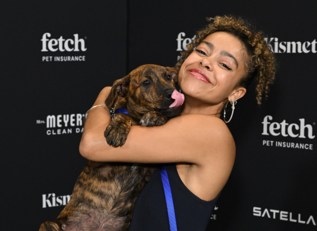 Broadway Stars Shine and Shelter Dogs Take Center Stage at the Fetch Pet Gala!