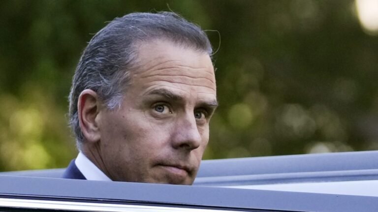 Hunter Biden: 'I may have to' run for president in 2028