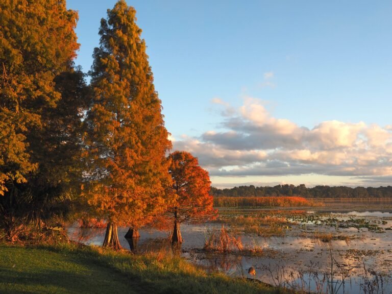 I've lived in Florida for 25 years. Here's why I think fall is the best time to visit.