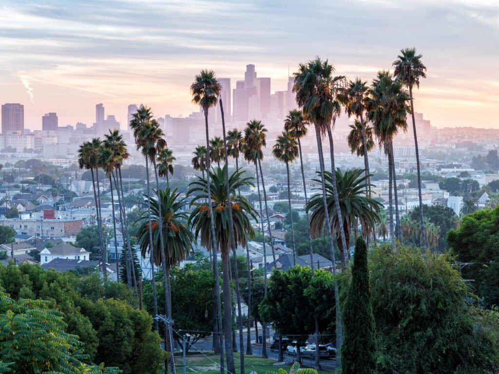 See where aspiring entrepreneurs are showing the most interest in starting a business, ranked