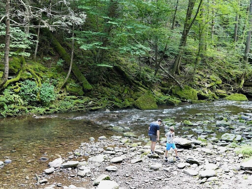My family of 4 visits the same vacation spot multiple times a year. I hope my kids look back on it fondly.