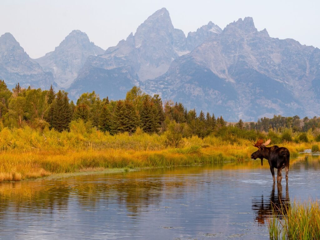 After visiting all 50 states, there are only 3 that I'd choose to live in